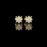Leaf Petal Round Moissanite Diamond Flower Stud Earrings with Cluster Center