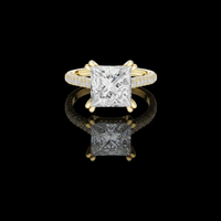 Princess Cut Moissanite Diamond Solitaire Pave Engagement Rings